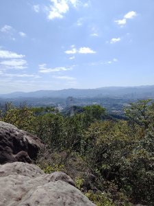20260315金面山