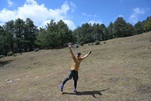 Dofu( •̥́ ˍ •̀ू )的頭像