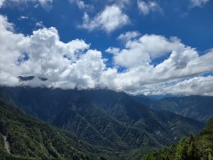 塔塔加步道（大鐵杉登山步道）