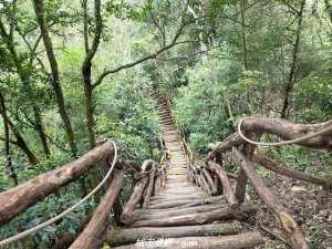 【台中北屯】大坑四號步道x頭嵙山
