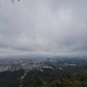 【貓貓亂走】四獸山+九五峰+豹山溪步道+永春坡公園+象山捷運站完成!