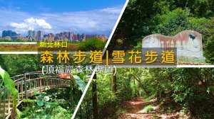 [新北林口] 住宅區盡頭竟藏森林步道！大眾運輸可到，雪花步道＋林口森林步道一次走
