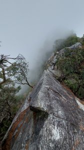【長壽鳶嘴山】上山篇~鳶嘴山西陵線縱走，一條兼具養生悠遊賞杉林竹林密境、又能挑戰全台知名危岩聳壁地形，挑戰驚險攀岩峭壁~鳶嘴山西陵線。