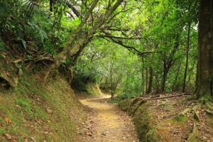 登山教育~無痕山林