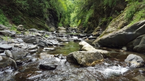 羅木斯溪登山步道