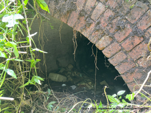 2025  D0809 「金興煤礦」主坑和風坑