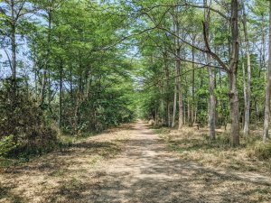20210411台南仁德西瓜山森林步道(虎山森林步道)
