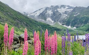 ［TMB環白朗峰健行2 ］⋯百里之行，始於足下！