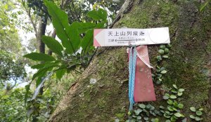 南勢角山-承天禪寺