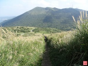 大屯山主、西、南峰縱走