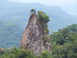平溪區孝子山+慈母峰+普陀山8字走