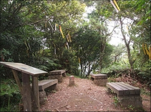 大尾山登山步道(鬼子瀨尖山)