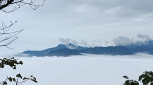 舞什山參的頭像