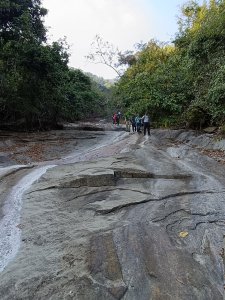 台南東山new秘境.獅嶺峭壁-神農古道+南瀛百岳縱走出曾文水庫  [神農宮-穩凍山-神農山-獅嶺坪-獅嶺峭壁-曾文水庫]