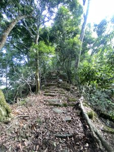 六龜警備道南段：一日茂林產業道路口-藤川遺址來回