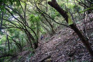 【台東】銅安山、背戶庵山、萬安山