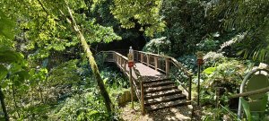 2026/05/31_白蘭溪古道O型