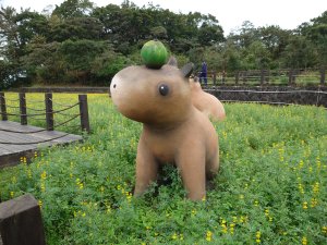 台北大縱走第七段