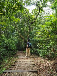 [宜蘭]南澳朝陽步道