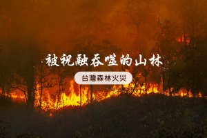 被祝融吞噬的山林 | 台灣森林火災