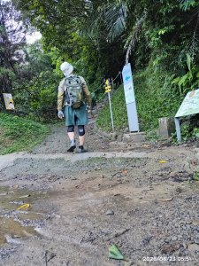 小百岳集起來飛鳳山、觀日坪古道202608230820