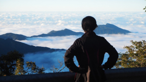 《新竹》觀霧走榛山｜觀雲海