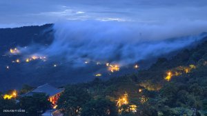 #雲瀑 #藍腹鷴 8/11