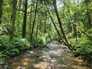 坪溪古道上太和山（陸路去，蛇子頭水路回）