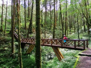 【山系野遊】阿里山山脈最高峰~山林森呼吸。59小百岳~大塔山