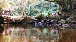 悠遊澀水森林步道