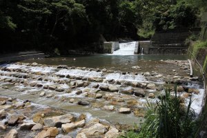 【新聞】保護溪流生態 東勢處呼籲切勿前往橫流溪危險水域戲水