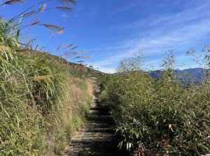 腳步｜二延平山・隙頂山・隙頂山東南峰