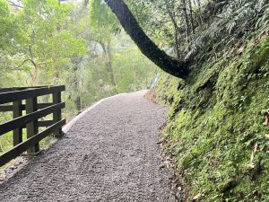 巴威颱風強降雨致拉拉山國家森林遊樂區巨木步道邊坡土石崩落 搶修完成！7月18日正式恢復開園