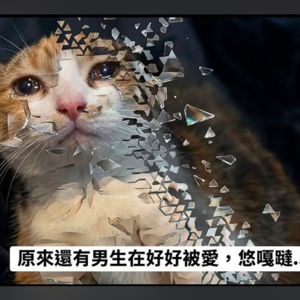 胡益銘的頭像