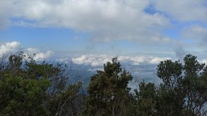 探索自然之美∥馬武督探索森林，外鳥嘴山