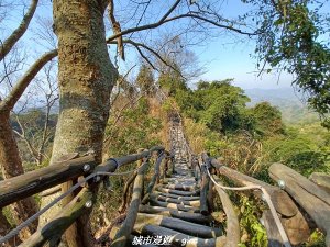 【台中北屯】來試試陡峭的好漢坡。 大坑二號步道上一號步道下