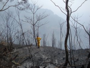 【新聞】海德薇談新作《山神》—山會接住謙卑的人