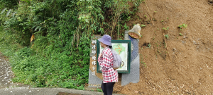 苗栗鐘樓古道-2025/04/25