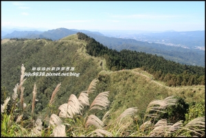 新北。峰芒畢露漫步五分山登山步道