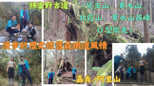 114.01.25嘉義／阿里山 特富野古道／漫步於懷舊森鐵道風情（兒玉山、東水山、北霞山、東水山西峰Ｏ型縱走）