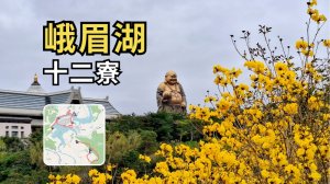 峨眉湖-十二寮｜黃花風鈴木、大佛湖景與桐花秘徑的一日健行