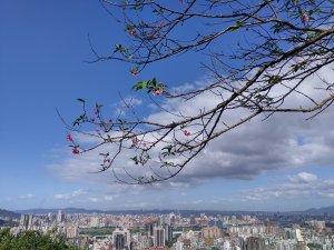 【私の百名山】景美仙跡岩