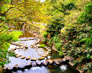 南港雙心石滬，落羽松秘境，麗山農民廣場，麗山橋口步道
