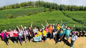 8/17(日)雲嶺之丘+五元二角+木馬古道