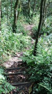 魯壁山步道