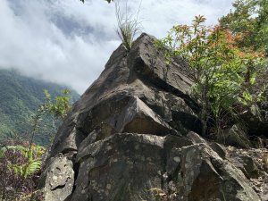 【台中和平】雪山坑溪上百川山