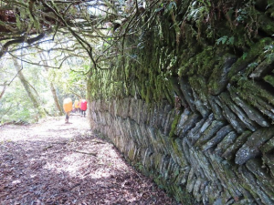 八通關越道路 之 大分山屋~抱崖山屋