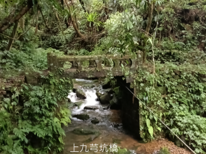 坪林區九芎坑古道+九芎坑圳沽古道+大舌湖山大小O型