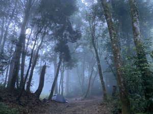 西巒大山。二訪獨享之未完待續