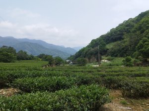 [新北坪林][七]磨婆寮山、目五寮山、倒吊子山、龜窟崙